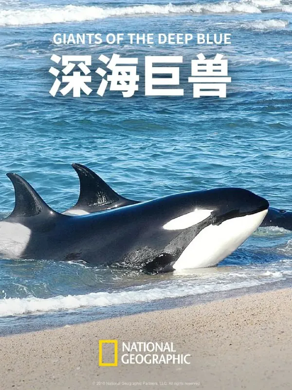 深海巨兽（2018）