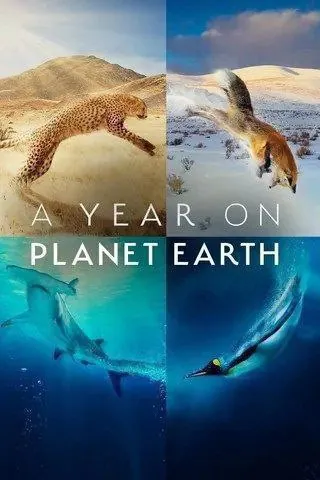 地球上的一年（2022）
