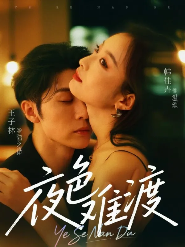 短剧：夜色难渡（70集）王子林&韩佳卉