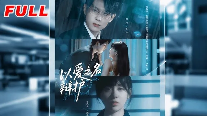 以爱之名辩护