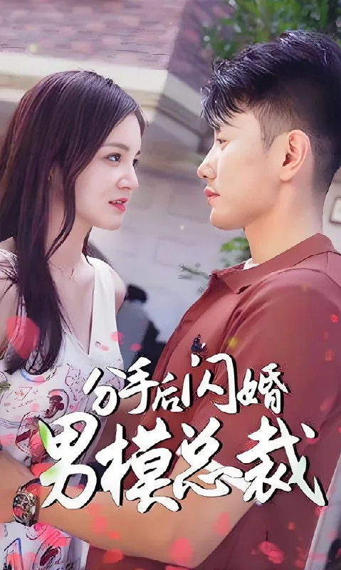 分手后闪婚了男模总裁