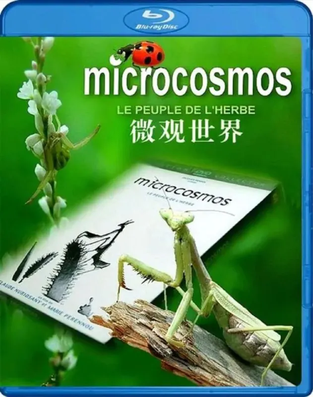 微观世界（1996）
