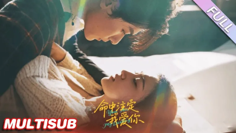 命中注定我爱你