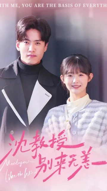 沈先生，别来无恙30（全60集）
