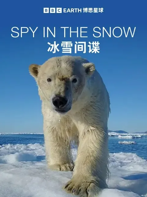 冰雪间谍（2018）