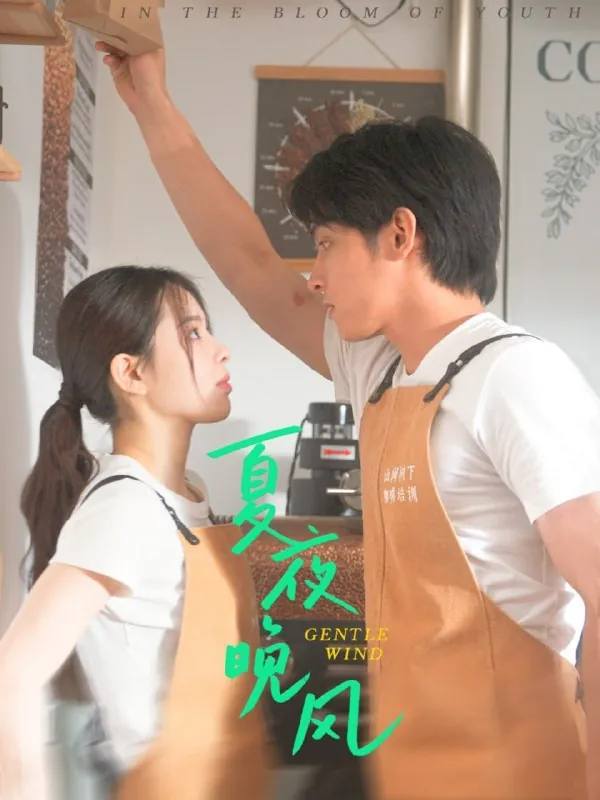 短剧：夏夜晚风（12集）