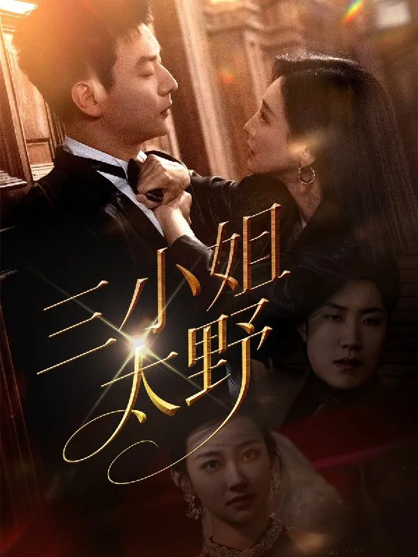 蛰伏十年婆婆亮剑（45集）